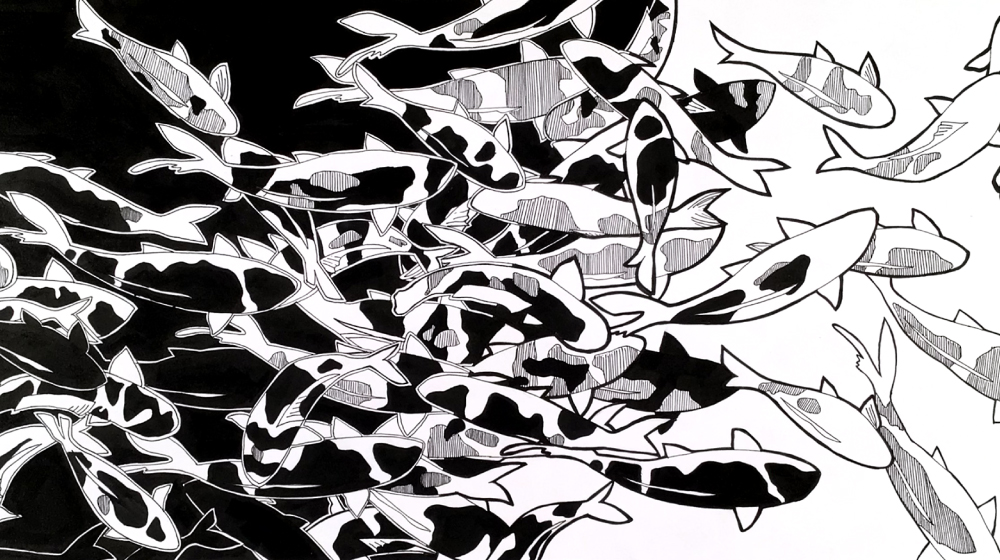 Fish artwork, black and white